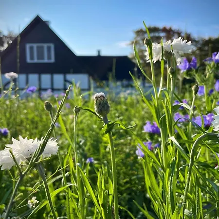 別荘 Ilkka - 220m From The Sea By Interhome *