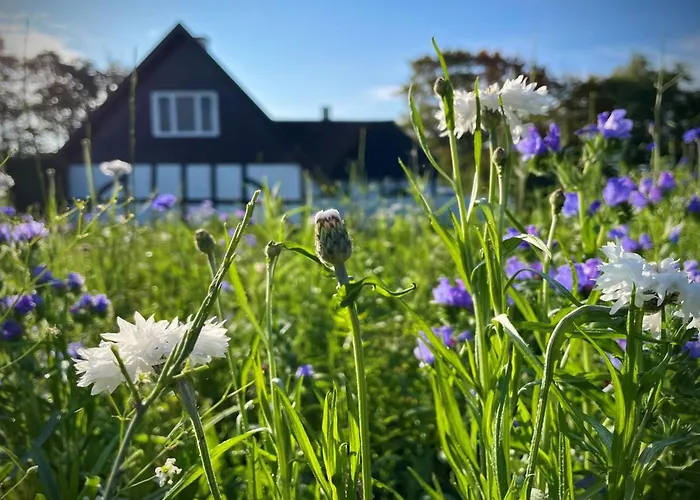 Дом отдыха Ilkka - 220m From The Sea By Interhome